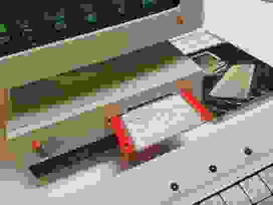 ACT Apricot F1e (close-up)