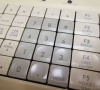 ACT Apricot F1e (close-up)