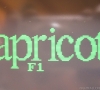 ACT Apricot F1e (software and machine booting)