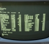 Amstrad Monitor MM12 (White Phosphor CRT)