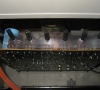 Sharp MZ-80K (monitor close-up)